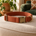 AI-generated illustrative concept: Everyday Adjustable Dog Collar