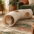 AI-generated illustrative concept: Cloud Cat Tunnel