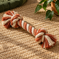 AI-generated illustrative concept: Twist Rope Dog Toy